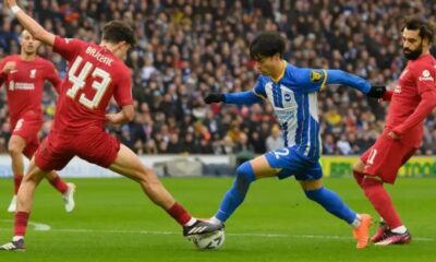 'Next season, son' - Brighton breakout star Kaoru Mitoma sent Liverpool transfer message 1 Sportelo